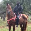 🐴MOHMEED BKREI𓃗