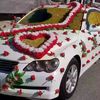 albmnbbiveli511