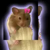 chomiczkara02