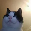 jqwrn