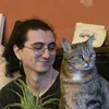 dumbbitchsalad