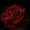roobenitez2323
