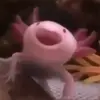 dubiousaxolotl
