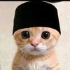 user41753501