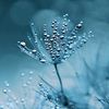 iftikhar_707