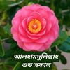 sofe927018723127
