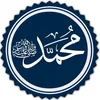 313.com1