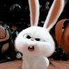xmmacchiato_