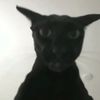 abdulaziz123_4