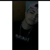 hiarlley_22y