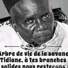 dosadiagne90