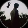 am_th94