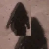 sthefanysantosbb