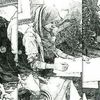 triani3336