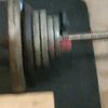 gymd3dication