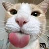 lrxsniky