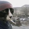 cook_man31