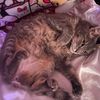 maddie_18347