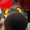 squeaky.ryder