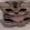 ooooooookkkkkkkkkjv