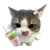 matcha_latte2003