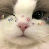 pinkisssh_