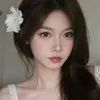 mychi2709