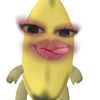 nisseug