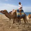 arkandracul