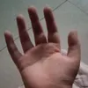 thehand123456