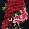 user873846535