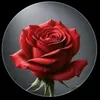 _1eagt