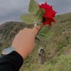 susaan_1