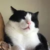 lowinkylove