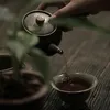 sega.tea