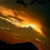 phamthibinh44