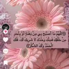 user985689069