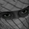 aaqibalee3452