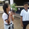 albert_07827
