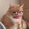 _hdyuz11