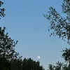 anam_07_