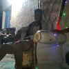 amula31234542653