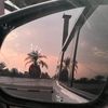 n_m7d