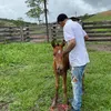 gabriellsousa38
