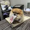 ninobrown.ngu