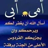 user20284748929274829292