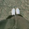 butter_cup1395
