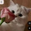 deep_dark_browneyes
