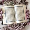 user796002603972