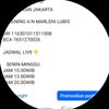 thriftlenilubis_2
